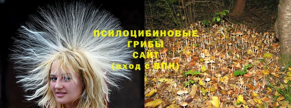 мяу мяу мука Алексеевка