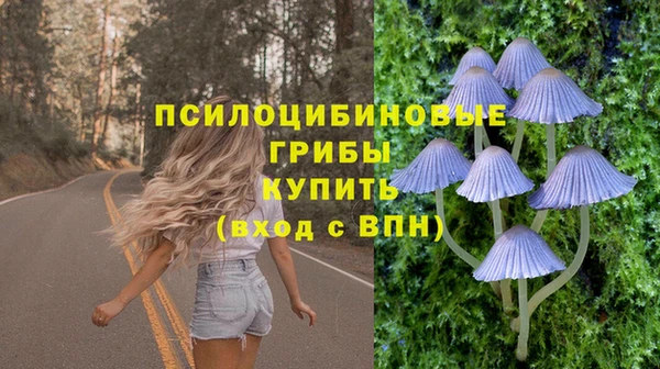 мяу мяу мука Алексеевка