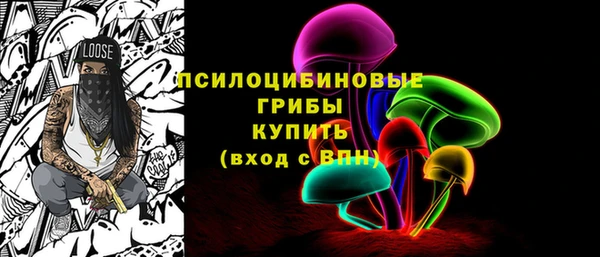 дмт Алзамай