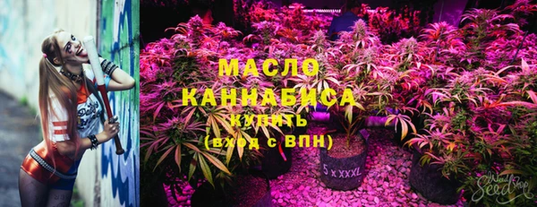 дмт Алзамай