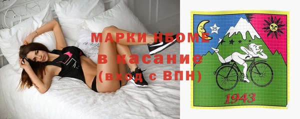 дмт Алзамай