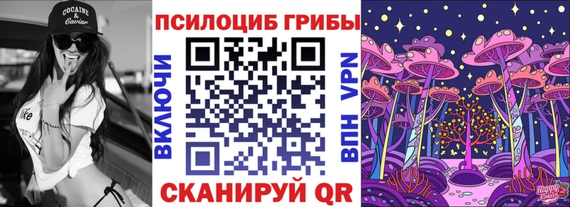 площадка наркотические препараты  Менделеевск  Псилоцибиновые грибы Psilocybe 